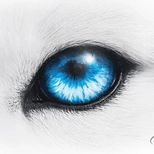 คอร์ดเพลง 25 ชั่วโมง (คิดถึงเกิน) 1ST