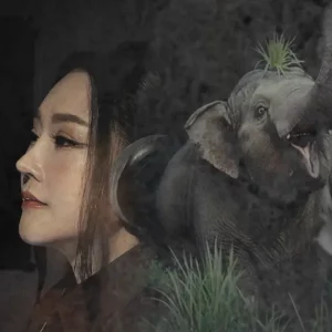 คอร์ดเพลง พี่พับ (สีดอหูพับ) หญิง ธิติกานต์