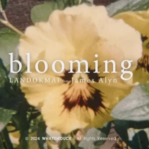 คอร์ดเพลง Blooming (เพลงรักเพลงแรก) LANDOKMAI