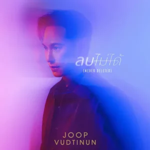 คอร์ดเพลง ลบไม่ได้ (Never Deleted) จุ๊บ วุฒินันต์