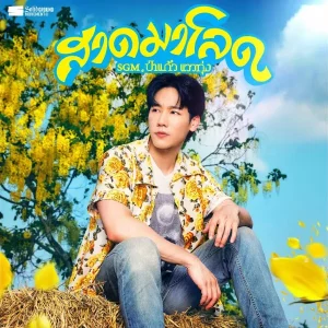 คอร์ดเพลง สาดมาโลด SGM, ป่าแก้ว แววทุ่ง