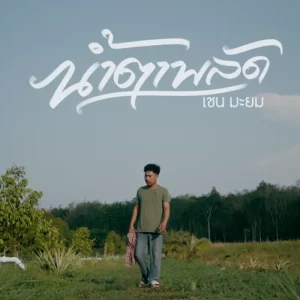 คอร์ดเพลง น้ำตาพลัด เชน มะยม