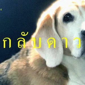  กลับดาว (I miss you.) Stoondio