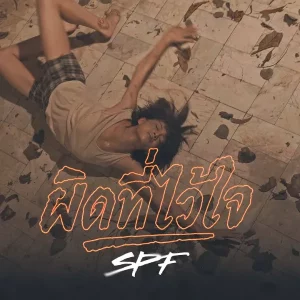 คอร์ดเพลง ผิดที่ไว้ใจ SPF