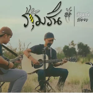 คอร์ดเพลง ภุมริน อินแปง