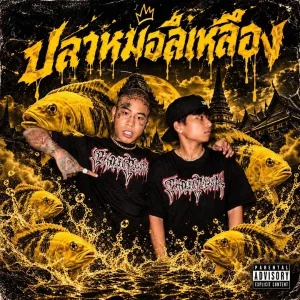 คอร์ดเพลง 4หน่อ KANI$