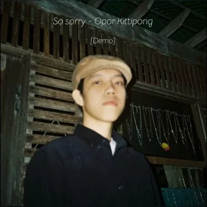 คอร์ดเพลง So sorry โอปอ กิตฐิพงษ์