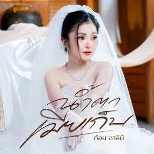 คอร์ดเพลง น้ำตาเมียเก็บ ก้อย ชาลินี