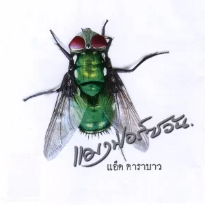 คอร์ดเพลง ก้านกล้วย แอ๊ด คาราบาว
